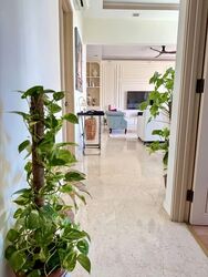 Costa Rhu (D15), Condominium #551157001